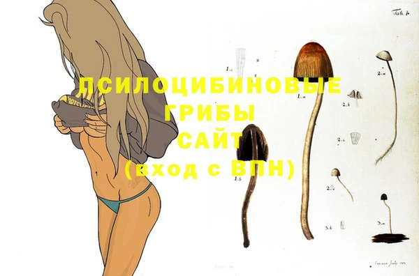 мдпв Балахна