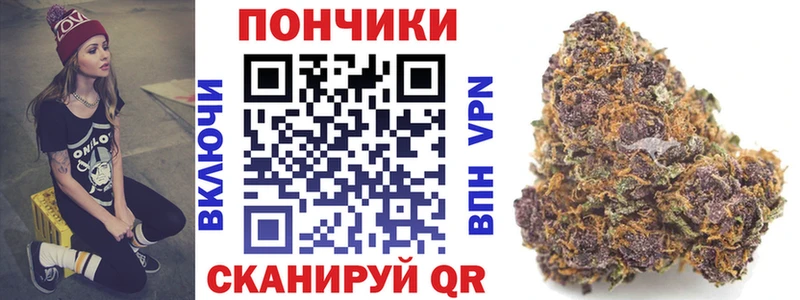 Бошки Шишки конопля  Шагонар 